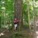 [EN] Loblolly pine (Pinus taeda) - the National Champion for the species: height - 166 feet (50.6 m); circumference - 15 feet 6 inches (4.72 m); crown spread - 67 feet (20.42 m).
[PL] Sosna taeda (Pinus taeda) - rekordzistka na skalę Stanów Zjednoczonych: wysokość - 50,6 m (166 stóp); pierśnica (obwód na wysokości piersi człowieka) - 4,72 m (15 stóp 6 cali); średnica korony - 20,42 m (67 stóp).