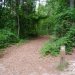 [EN] The trails are very well marked.
[PL] Szlaki w Rezerwacie są bardzo dobrze oznakowane.