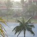 Tropischer Regen - auch das gehört alle paar Tage mal dazu. In der Regel regnet es aber täglich kurz, aber nur leicht.