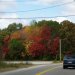[EN] Fall colors.
[PL] Kolory jesieni.