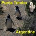Punta Tombo est une réserve de faune sur la côte atlantique de la province de Chubut, en République argentine, et une des principales colonies continentales de reproduction du manchot de Magellan (Spheniscus Magallanes).
Autres voyages sur http://yethidom.pagesperso-orange.fr/
Punta Tombo est un site exceptionnel à 110 kilomètres de Trelew et 180 kilomètres de Puerto Madryn.