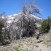 Mt Shasta Summit Attempt 011
