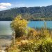 Blue Lake Rotorua as seen from the road