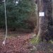 This is the swing just inside the wood, next to the stream, which we like to go on from time to time. It is attached to a very old horse chestnut tree. How high can you swing? Have you seen the sign? Can you find the dragon?