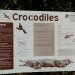 A warning notice about crocodiles; They are very dangerous!!