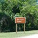 [EN] Mrazek Pond was named for Vincent J. Mrazek, park ranger at Coot Bay Pond, and later a park naturalist for five years at Flamingo between 1962 and 1967. This pond was formally known as Barney’s Pond for Barney Parker, the first ranger at Everglades National Park. Mrazek was later the Chief Ranger of the Virgin Islands National Park.
[PL] Staw Mrazka został nazwany na cześć strażnika Parku, który pracował przy stawie Zatoki Coot a potem był przyrodnikiem w rezerwacie Flaming, Parku Narodowego Everglades w latach 1962-1967. Wcześniej ten staw był nazywany stawem Barneya, na cześć Barneya Parkera, pierwszego strażnika tego Parku. Mrazek był potem dyrektorem Parku Narodowego Wysp Dziewiczych.