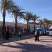 Karava (autobusů) na ceste do Luxoru
