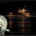 Venise, San Maria della Salute de nuit