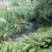 The Wairoa trout stream