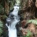 The cascading Wairoa stream