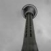 Aucklands Sky Tower in the rain