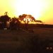 Sunrise over Samburu.