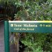 les sentiers de randonnée, bien balisés,  offrent un accès facile aux attractions les plus spectaculaires de Waipoua Forest, y compris Tane Mahuta, Te Matua Ngahere et les kauris Yakas.