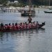 Ce matin, devant l'hôtel, des touristes apprennent à naviguer Maori!
