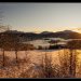 Forest-fjord-snow-norway_0329