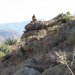 This antelope squirrel (on top of the rock) was keeping watch for predators.