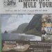 [EN] Kalaupapa Mule Tour advertisement.
[PL] Reklama Kalaupapa Mule Tour.