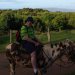 [EN] Adrian from Auckland, New Zealand got a painted mule.
[PL] Adrian z miasta Auckland w Nowej Zelandii dostał łaciatego muła.