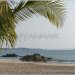 Ngapali beach depuis le BayView hotel. Gérant allemand Patrick, joint venture Germano-birmane.
