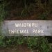 Wai-O-Tapu est considéré comme la zone géothermique la plus colorée et diversifiée de Nouvelle-Zélande.