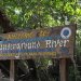 Puerto Princesa Underground River-2...