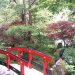 Bridge in Japanese Gardens
