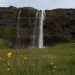 La cascade de Seljalandsfoss