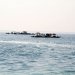 在吉貝島浮潛是帶到海中央漂浮，海底景色還算不錯，比墾丁好上數倍...