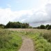The reserve is highly accessible and the council do a good job of keeping the paths in good condition.