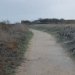 The edges of the path are banked up and make good homes for rabbits as well as species of bees which dig holes into the sandy banks.