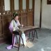 Musique traditionnelle chinoise dans le jardin Liu .
L'instrument est un guzheng, instrument à corde pincées de la famille des cithares sur table et se rapprochant du koto au Japon, kayagum en Corée ou encore dan tranh au Vietnam.