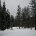 Snow lassen and butte meadows 045