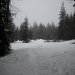 Snow lassen and butte meadows 049