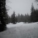 Snow lassen and butte meadows 050