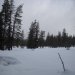 Snow lassen and butte meadows 053