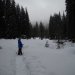 Snow lassen and butte meadows 059