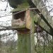 Who do you think has chewed away the front of this nest box?