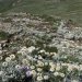 Alpine sunrays and Carruthers Peak