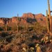 The Superstition Mountains are prettiest near sunset.